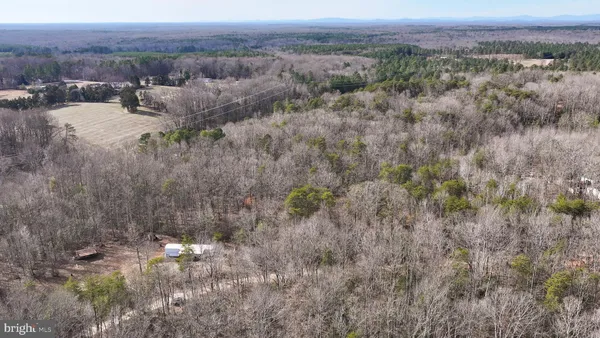 a view of a dry yard with trees