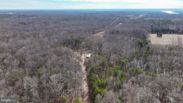a view of a dry yard