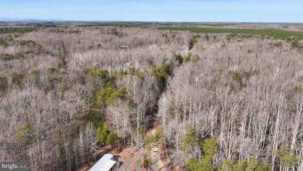 a view of a forest with lots of trees