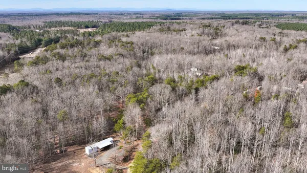 a view of a dry yard with trees