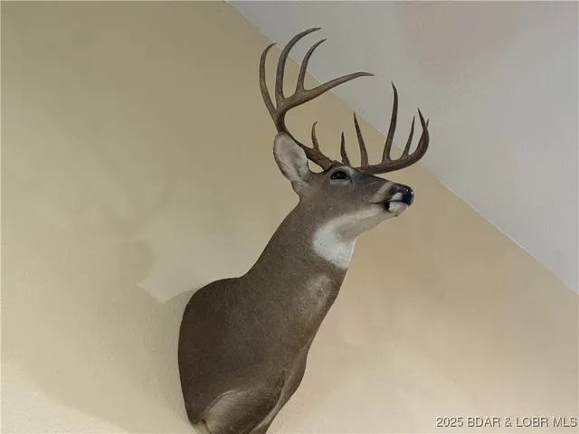 $619,000 | 8960 White Tail Ridge, Versailles, MO 65084