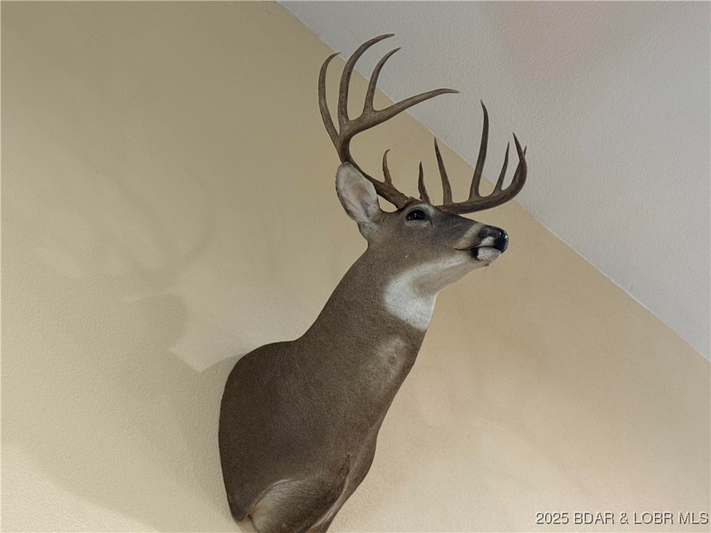 8960 White Tail Ridge Versailles, MO 65084 - Photo 21 of 25 Taken from the property