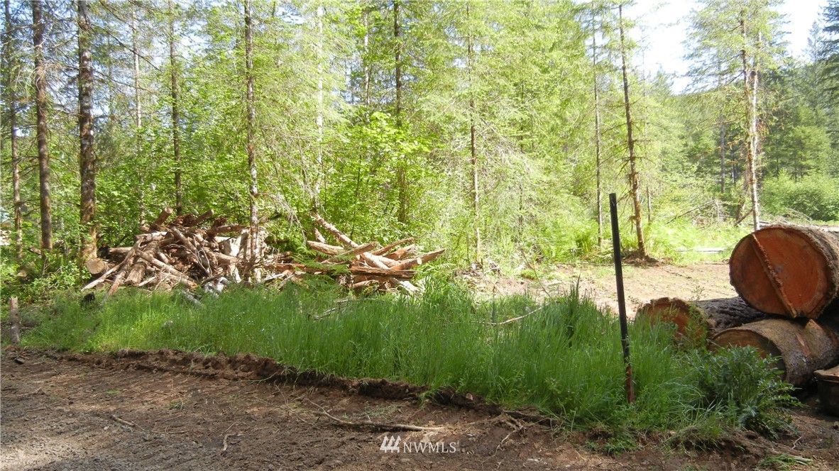 200 Big Foot Road Ariel, WA 98603 - Photo 1 of 16 Gallery Image 1