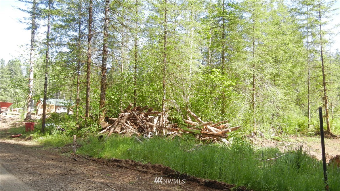 200 Big Foot Road Ariel, WA 98603 - Photo 2 of 16 Gallery Image 2