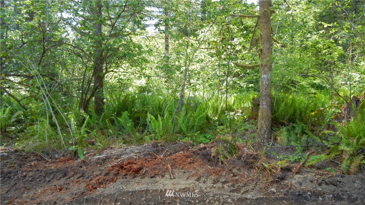 200 Big Foot Road Ariel, WA 98603 - Photo 11 of 16 Gallery Image 11