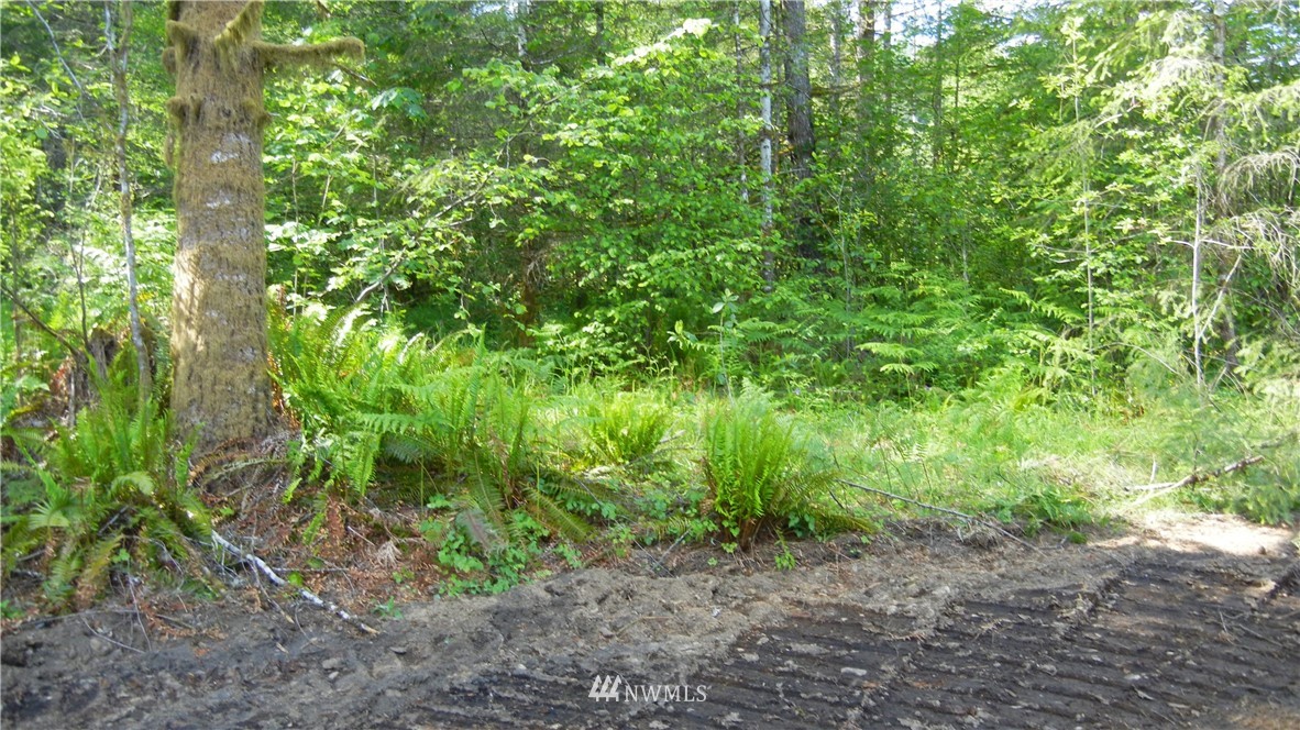 200 Big Foot Road Ariel, WA 98603 - Photo 12 of 16 Gallery Image 12