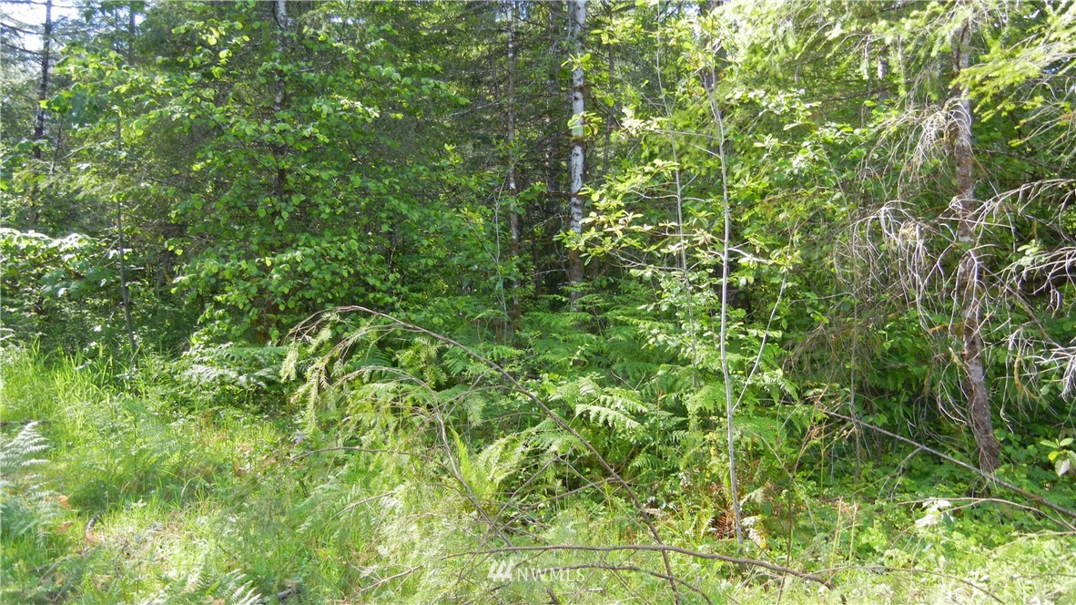 200 Big Foot Road Ariel, WA 98603 - Photo 13 of 16 Gallery Image 13
