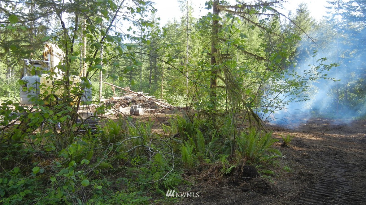 200 Big Foot Road Ariel, WA 98603 - Photo 14 of 16 Gallery Image 14
