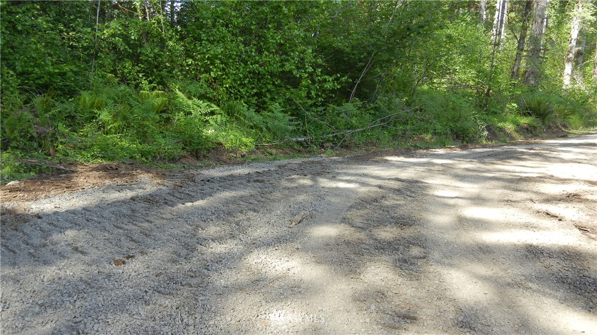 200 Big Foot Road Ariel, WA 98603 - Photo 15 of 16 Gallery Image 15