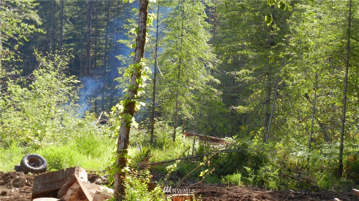 200 Big Foot Road Ariel, WA 98603 - Photo 16 of 16 Gallery Image 16