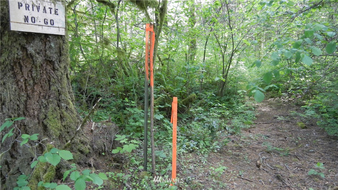 200 Big Foot Road Ariel, WA 98603 - Photo 7 of 16 Gallery Image 7