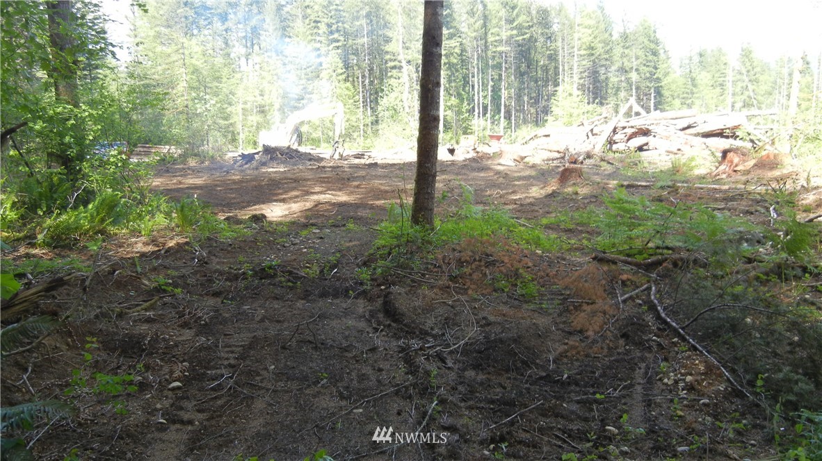 200 Big Foot Road Ariel, WA 98603 - Photo 8 of 16 Gallery Image 8