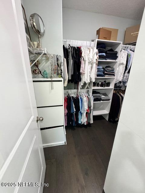 394 Heron Landing Road St. Johns, FL 32259 - Photo 30 of 43 IMG_4669