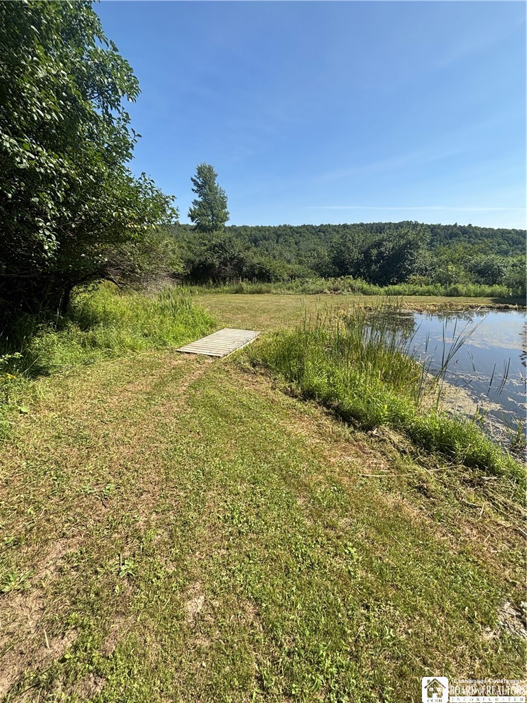 1868 Hess Road Andover, NY 14806 - Photo 26 of 46