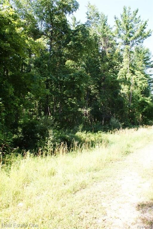 2 McKeen Lake Road Columbiaville, MI 48421 - Photo 26 of 51