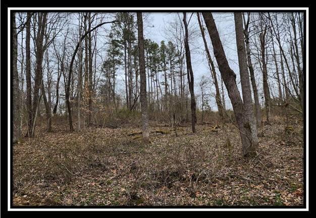 0 Metheny Fairplay Road, Unit TRACT 4) Vinton, OH 45686 - Photo 27 of 44 image027