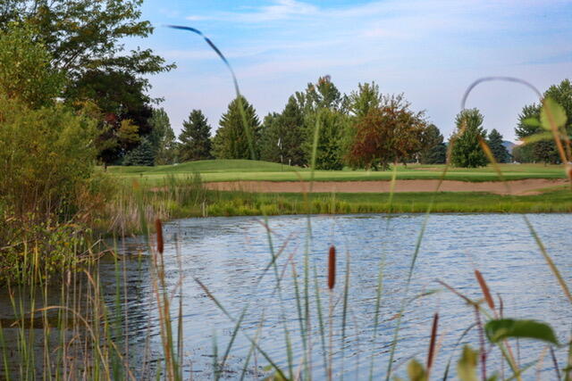 N13463 Schubert Road Trempealeau, WI 54661 - Photo 57 of 61 Golf Course