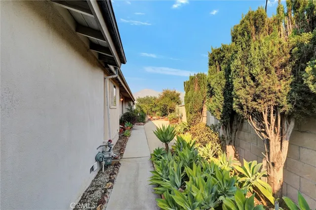 a view of a flower in a garden