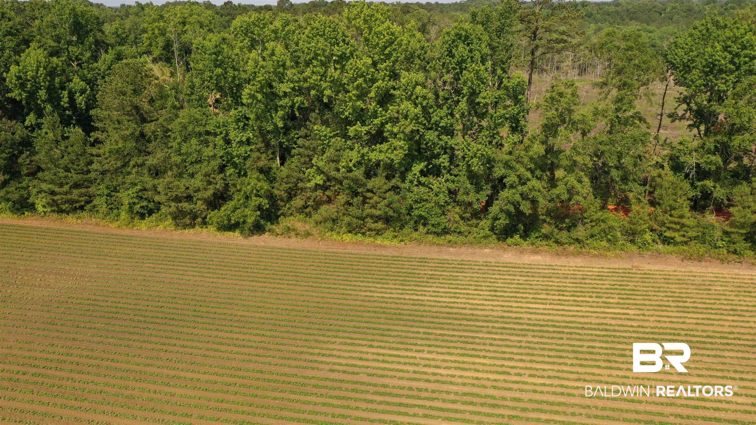 6 Travis Road Brewton, AL 36426 - Photo 22 of 22