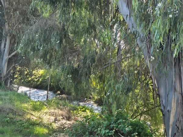 a view of a tree with a yard