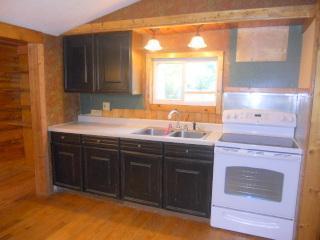 7539 Hakes Road Reading, MI 49274 - Photo 3 of 15 Additional Photo