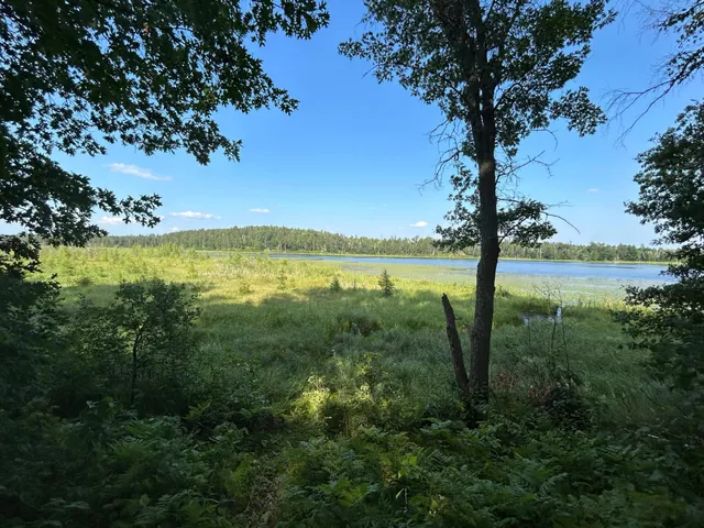 $695,000 | 12038 Spring Road, Pillager, MN 56473