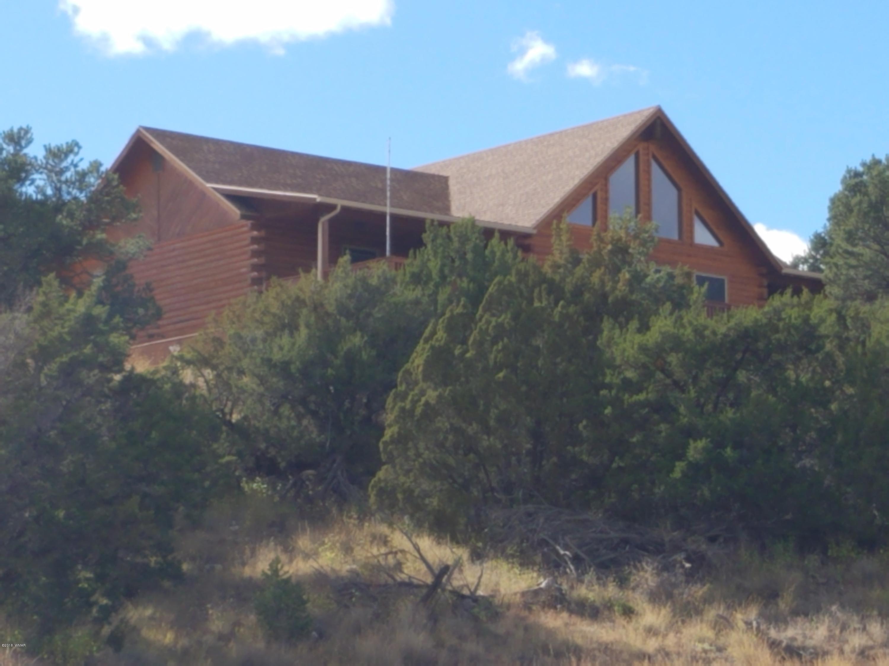 1670 Ranch View Drive Eagar, AZ 85925 - Photo 2 of 57