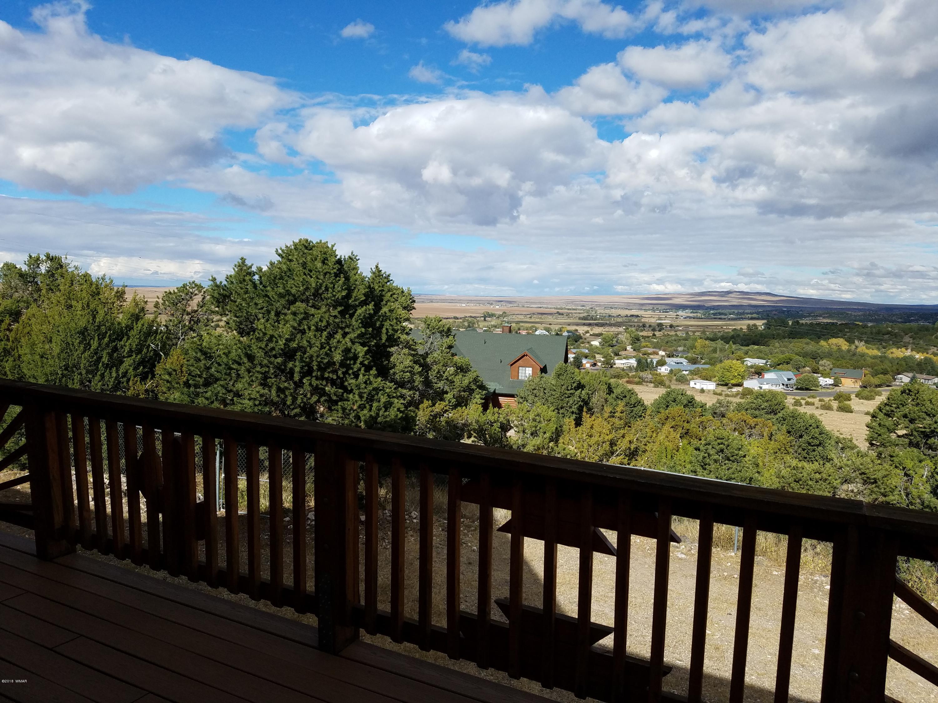 1670 Ranch View Drive Eagar, AZ 85925 - Photo 25 of 57