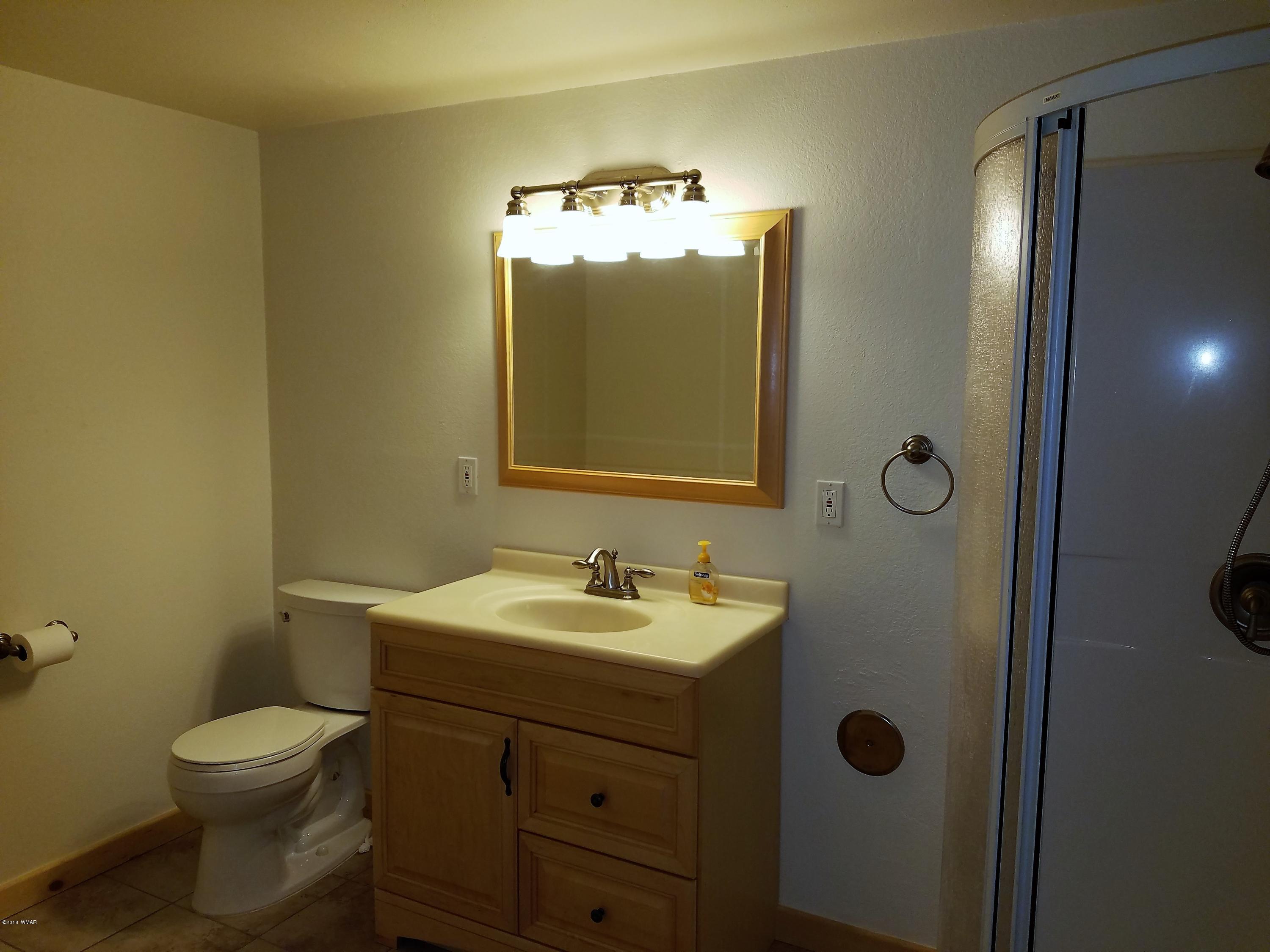 1670 Ranch View Drive Eagar, AZ 85925 - Photo 44 of 57