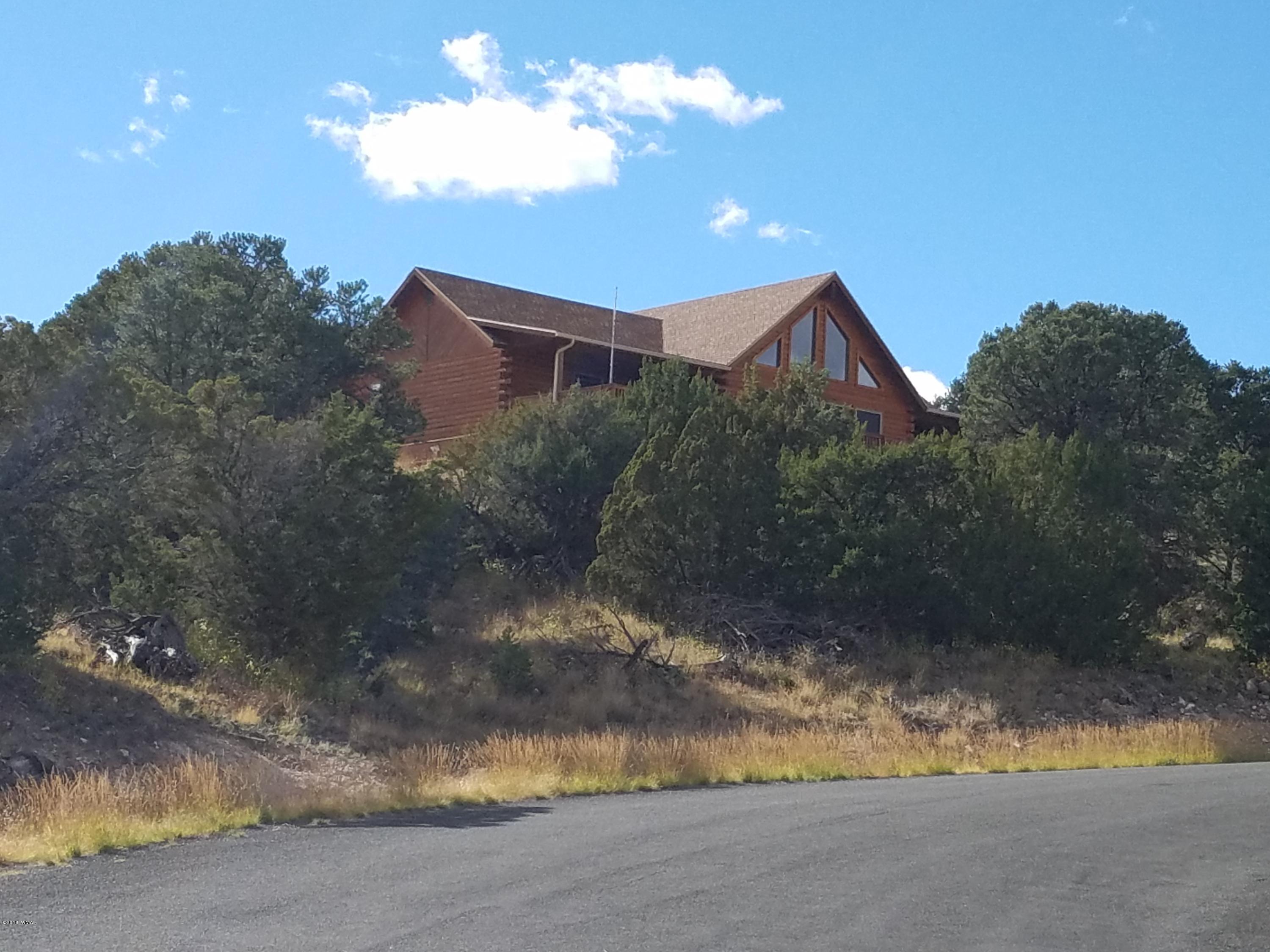 1670 Ranch View Drive Eagar, AZ 85925 - Photo 50 of 57