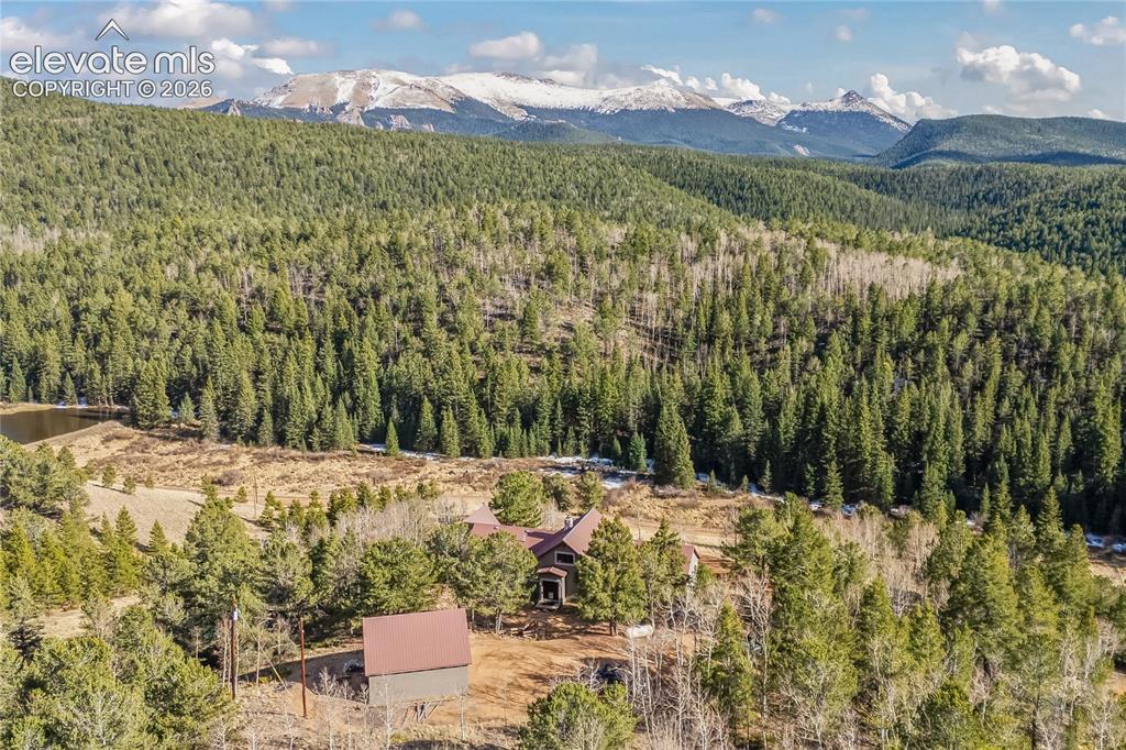 1008 Cantiberry Road Divide, CO 80814 - Photo 36 of 37
