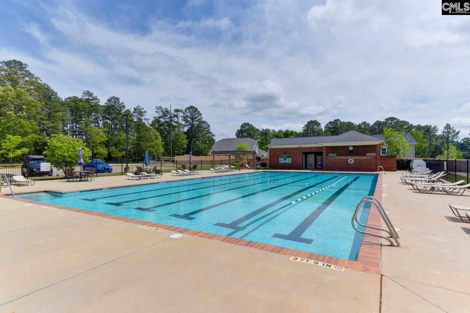 641 Timberlake Drive Chapin, SC 29036 - Photo 68 of 71