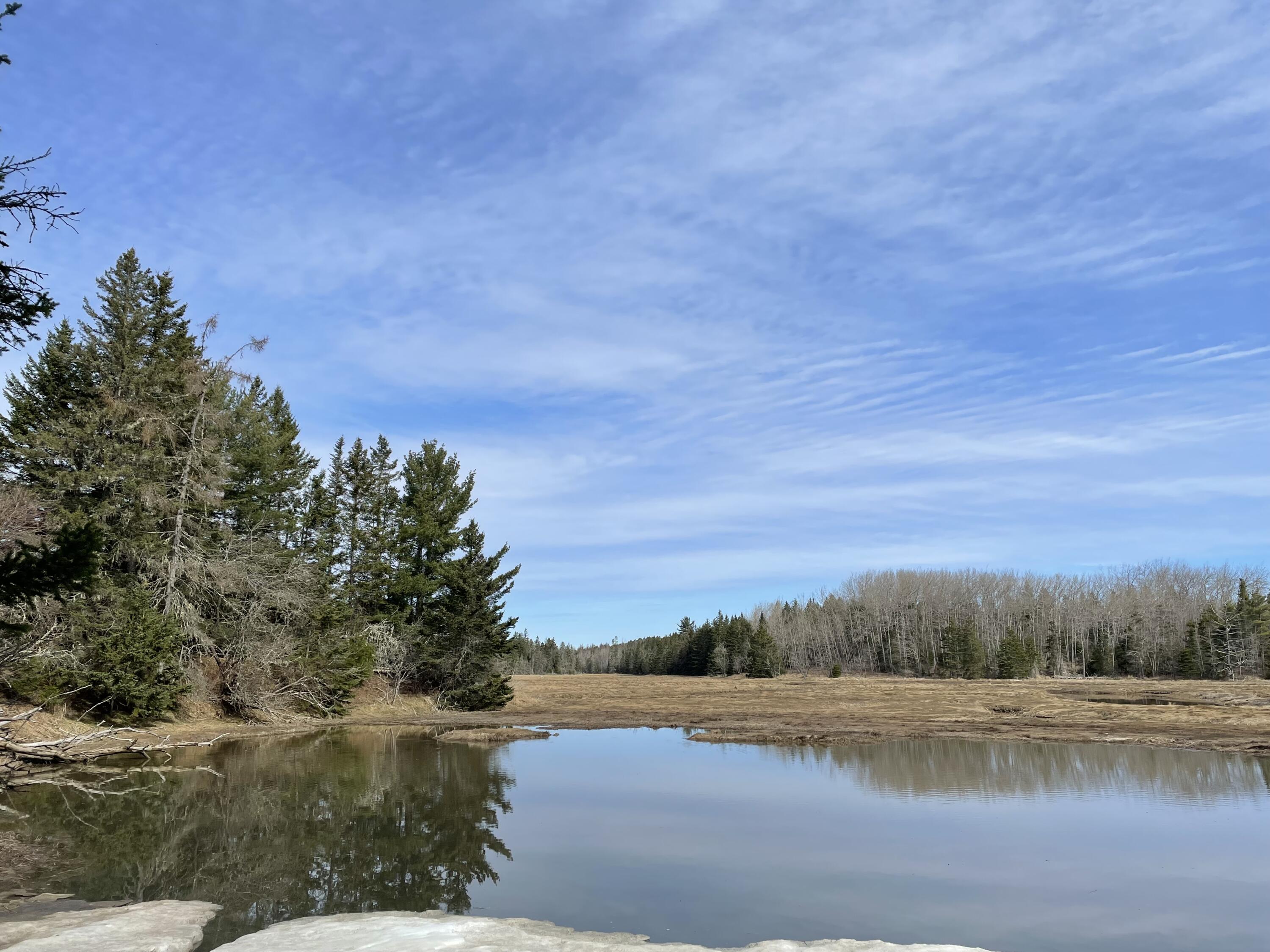 Lot 214 Off Of Kelley Road Milbridge, ME 04658 - Photo 2 of 4 IMG-1074