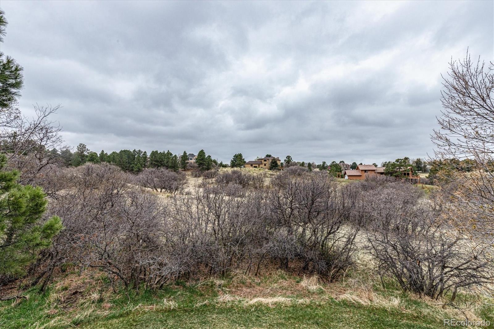 8696 Thunderbird Road Parker, CO 80134 - Photo 36 of 40