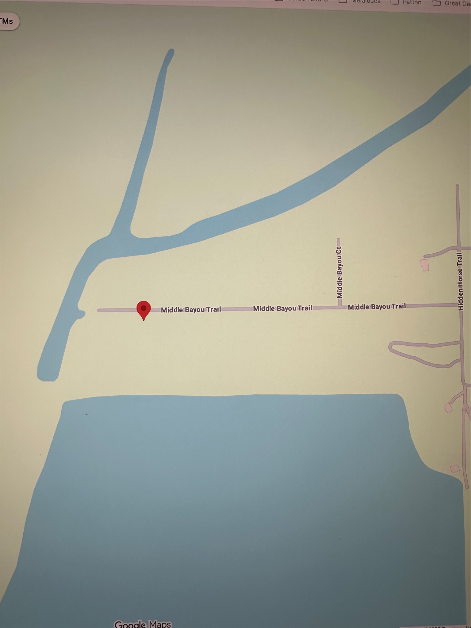 297 Middle Bayou Trail Angleton, TX 77515 - Photo 4 of 14 Clear some of the trees out for lake view!