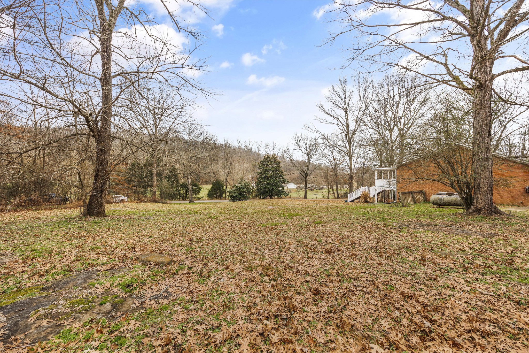 631 Holt Hollow Road Prospect, TN 38477 - Photo 26 of 41 a view of a yard with a tree