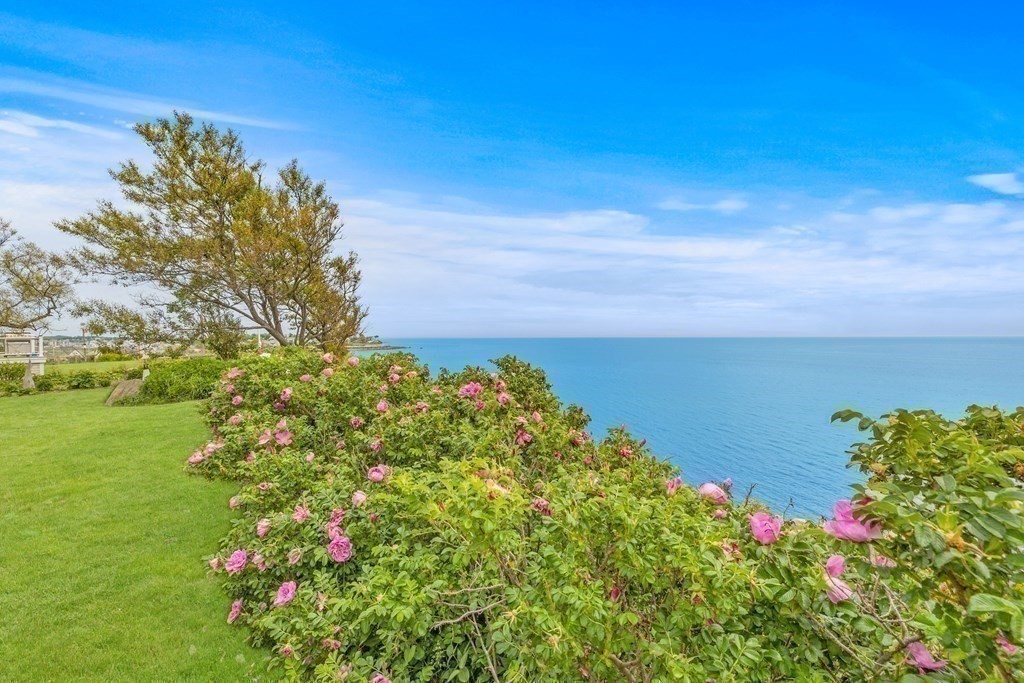 79 Gilson Road Scituate, MA 02066 - Photo 36 of 42 a view of a lake with a garden