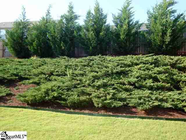 210 Chartwell Drive Greer, SC 29650 - Photo 4 of 21 Gallery Image 4
