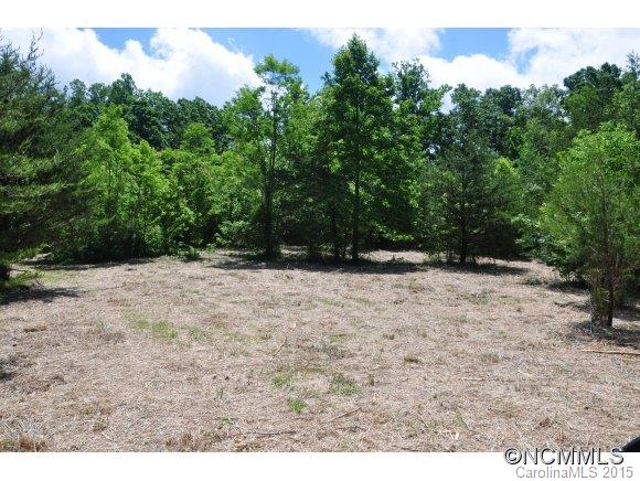 999999 Howard Gap Road Saluda, NC 28773 - Photo 1 of 13 Gallery Image 1