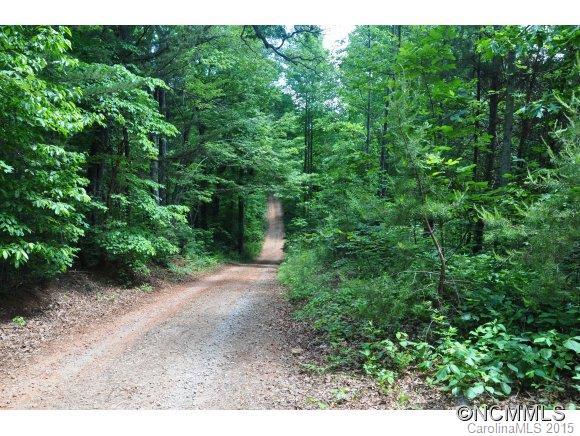 999999 Howard Gap Road Saluda, NC 28773 - Photo 2 of 13 Gallery Image 2