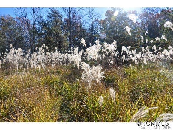 999999 Howard Gap Road Saluda, NC 28773 - Photo 11 of 13 Gallery Image 11