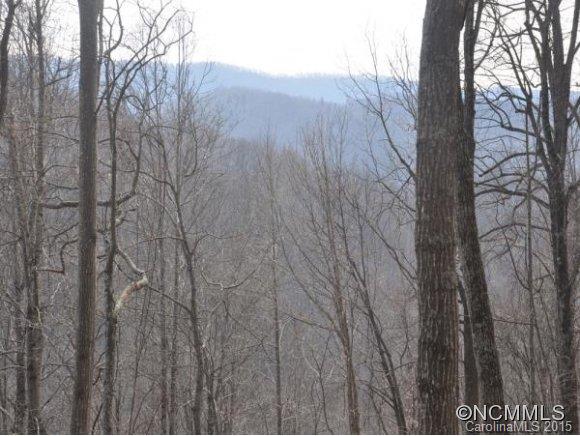 999999 Howard Gap Road Saluda, NC 28773 - Photo 12 of 13 Gallery Image 12