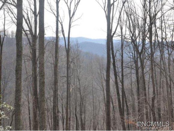 999999 Howard Gap Road Saluda, NC 28773 - Photo 13 of 13 Gallery Image 13