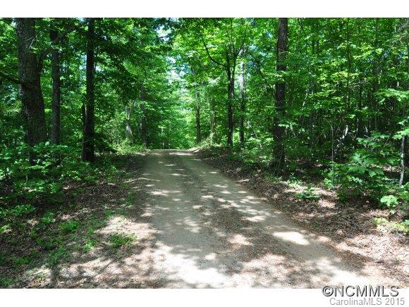 999999 Howard Gap Road Saluda, NC 28773 - Photo 3 of 13 Gallery Image 3