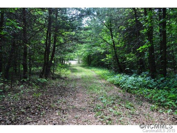 999999 Howard Gap Road Saluda, NC 28773 - Photo 4 of 13 Gallery Image 4