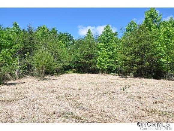 999999 Howard Gap Road Saluda, NC 28773 - Photo 5 of 13 Gallery Image 5