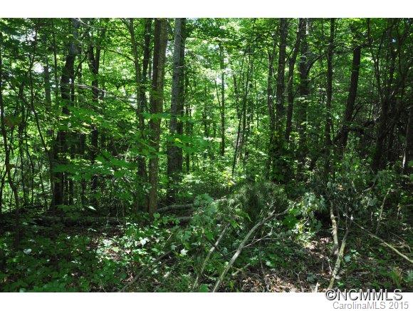 999999 Howard Gap Road Saluda, NC 28773 - Photo 6 of 13 Gallery Image 6