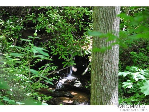999999 Howard Gap Road Saluda, NC 28773 - Photo 7 of 13 Gallery Image 7