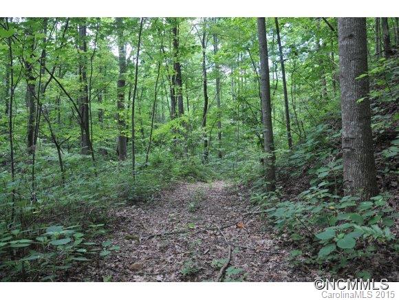 999999 Howard Gap Road Saluda, NC 28773 - Photo 8 of 13 Gallery Image 8