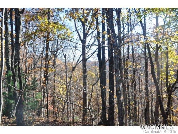 999999 Howard Gap Road Saluda, NC 28773 - Photo 10 of 13 Gallery Image 10